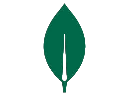 html-icon